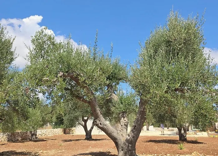 אכסניה Borgo Cervarolo *